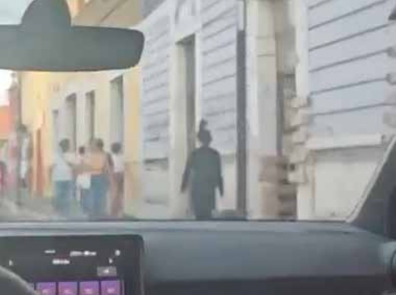 ネコを散歩させる人はたまにいる。あれは寄生されているのかな？ → 珍しい猫の散歩スタイルはこちらです…