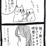 新星☆ベランダからやってきた猫20