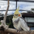 今月がラスト！【ETC助成金キャンペーン】
