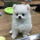 本日の主役！