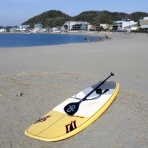 レーシングジャイブ研究会