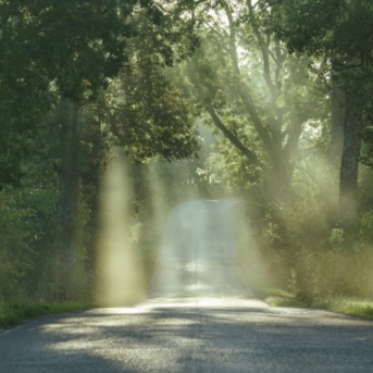 【人生は「何にお金を使ってきたか」でできている】片づけの現場で見えてきた、本当の豊かさ