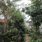 Alex's Garden Party♪