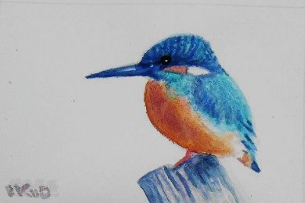 水彩画川辺の一羽の鳥