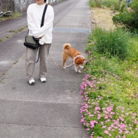 春しばスナップ