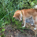 kurukuru0015のblog
