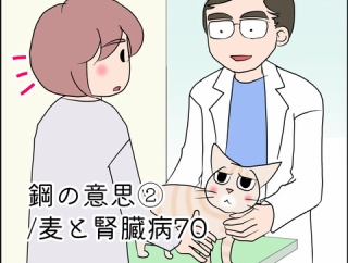 鋼の意思②/麦と腎臓病70