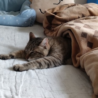 なごちゃん光ちゃんに癒されて　