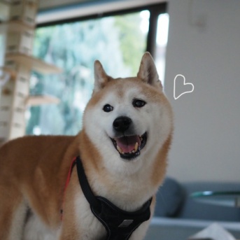 今日も笑顔で♪