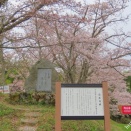 花筏の内山永久寺跡