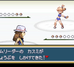 【ポケモンFRLG】 先人の叡智をお借りして