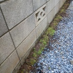 ランドナーといつまでもbyパジャマ雄三