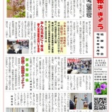 『広報ききょう３月・第２５号』の画像
