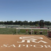 初心者マークの誘導馬バビットに会ってきました