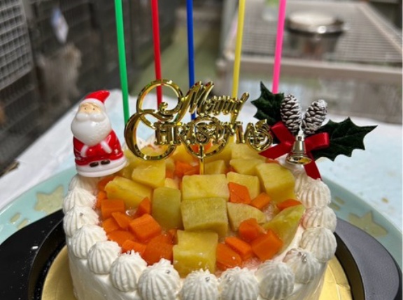 皆んなでクリスマスケーキを頂きました💖🤶💖