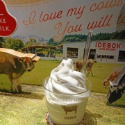 ���ǥܥ� ���¾�ץ�ߥ��ॢ���ȥ�å�Ź ���㡼�������եȥ��꡼��