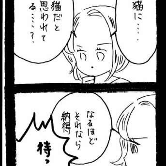 どうしても保護猫を迎えたかった知人の話25