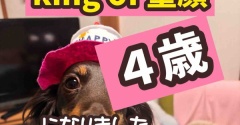 ぐりちゃん４歳になりました。