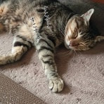 moroのハンドメイド