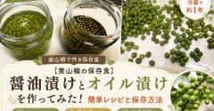 【実山椒の保存食】醤油漬けとオイル漬けを作ってみた！簡単レシピと保存方法