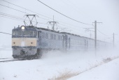 『2014/2/8運転 カナロコ列車第三弾』の画像