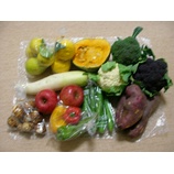 �ؤ���������Τ��Ȥɤ��ޤ����٤β���