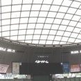 多分、明日かな。戦力外は。