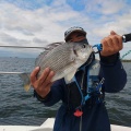 6月6日の釣果