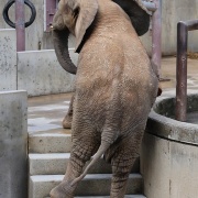 砥愛ちゃん、まだまだ上っています！下りています！