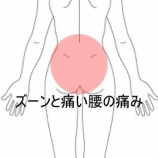 『前屈みの作業後に起きた右腰部から臀部への重だるい痛み 登別室蘭すのさき鍼灸整骨院　症例報告』の画像