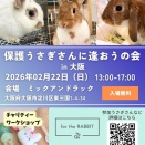 保護うさぎ譲渡会 第33回 保護うさぎさんに逢おうの会in大阪【2/22】
