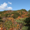 奇岩と錦秋織りなす絶景～霊山（東ノ物見）