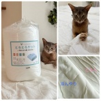 おうちごはんとおかしとねこ