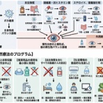 Wondershare Technology
