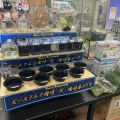 今週末はズースクエア岡崎店様とのコラボ企画