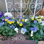 写真のクラ蔵 ライブドア