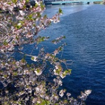 昼喰らいまぁ〜♪