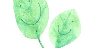 新築時に気合い入れて植林しても手入れせず雑草だらけ 敷地外にも伸び放題な築10年程度の家はよく見る。