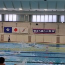 スポーツフェスタ　水泳競技
