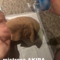 奴隷の満月