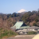 ジャガイモ発芽開始