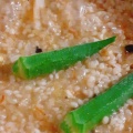 シャキシャキ夏蓮根とオクラのリゾット　Vol.290　朝食リゾット