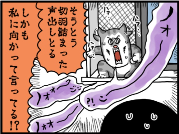 予告してくれてた猫