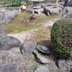 徒然に！記(Tomo's Blog)