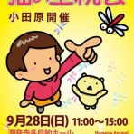 Human＆Animal Network   365日 里親募集中！