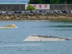 【辺野古転覆事故】特定班、ついに「050-9xx1-9xx8」の正体を暴く！ 東武トップツアーズ沖縄支店と平和事業事務局が完全一致。これもう言い逃れ不可避の・・・