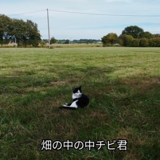 ソワレが要らないフランス暮らし