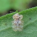 今日もワクワク♪　(#^.^#)