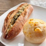 カエル好きの大磯生活