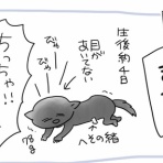 おやこぐらし。4人の子どもを育ててます